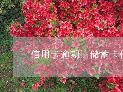 信用卡逾期 储蓄卡代扣 信用卡逾期 储蓄卡代扣